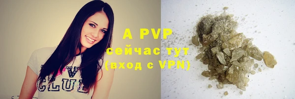 apvp Алексин