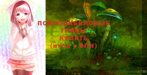 винт Алексеевка