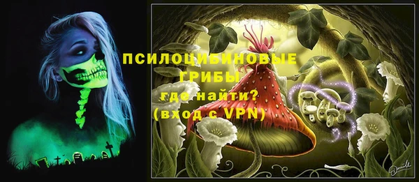 бошки Вязьма