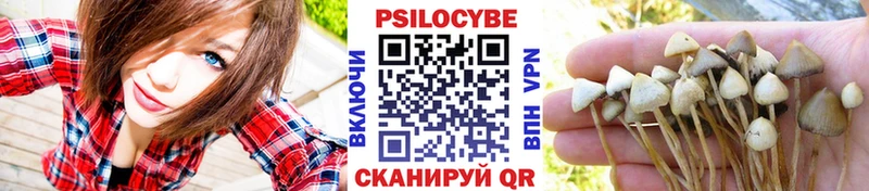 KRAKEN как войти  Находка  Псилоцибиновые грибы Magic Shrooms 