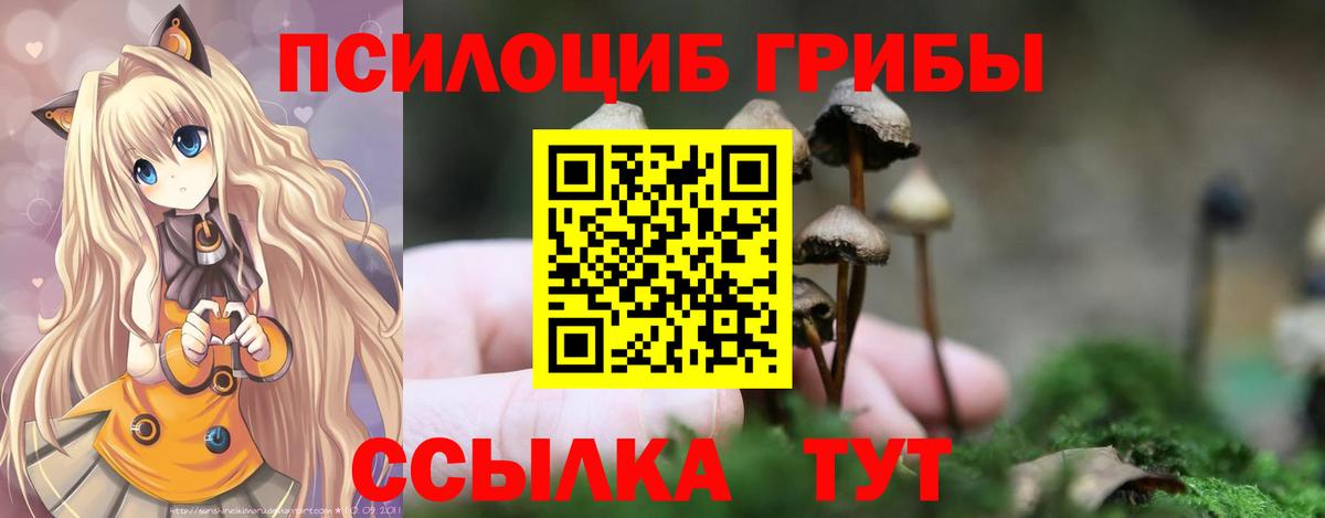Галлюциногенные грибы MAGIC MUSHROOMS Находка